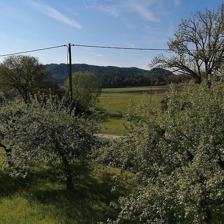 Bauernhof-Pension Puschnikhof Unternarrach Eksteriør bilde