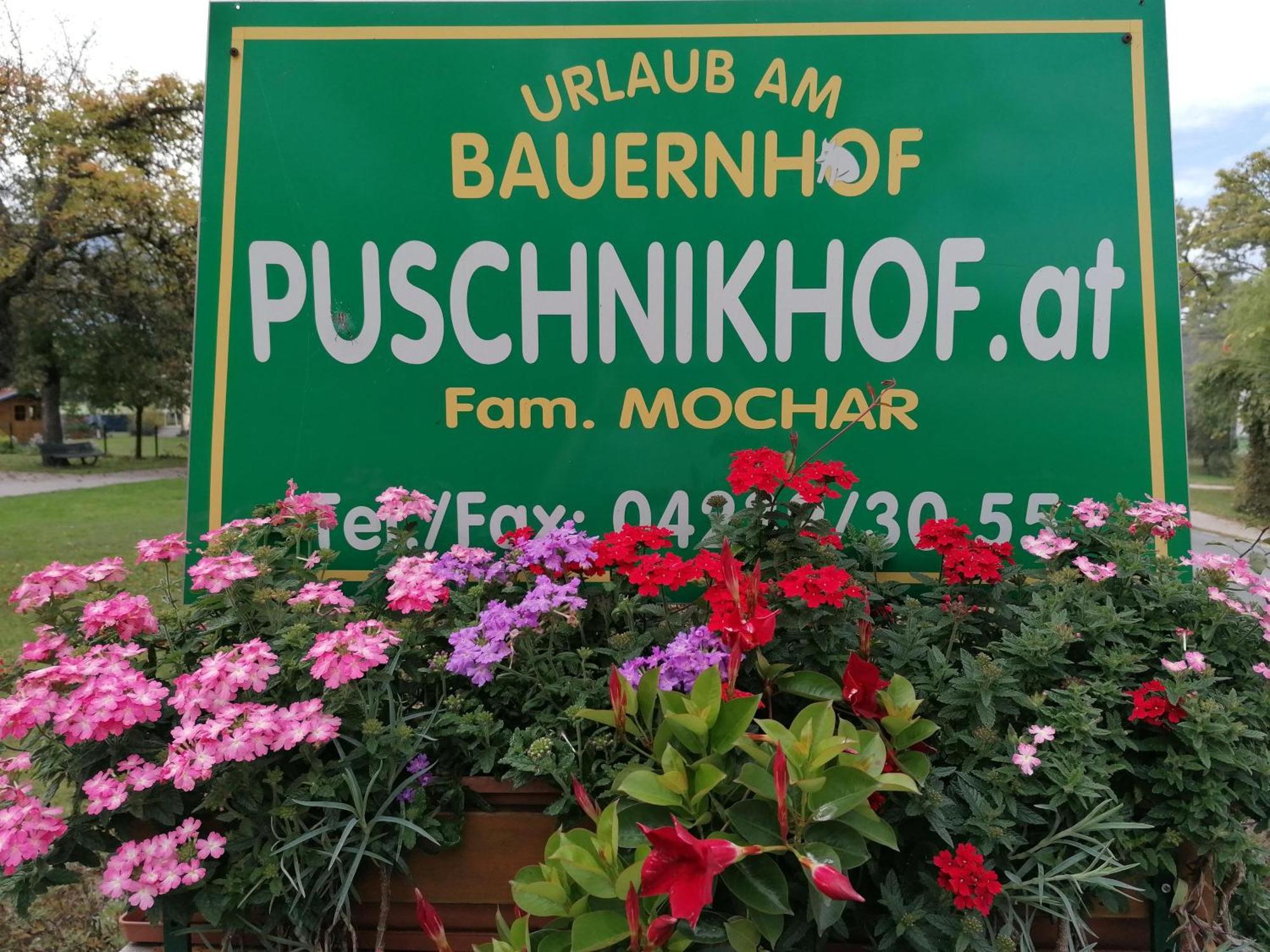 Bauernhof-Pension Puschnikhof Unternarrach Eksteriør bilde